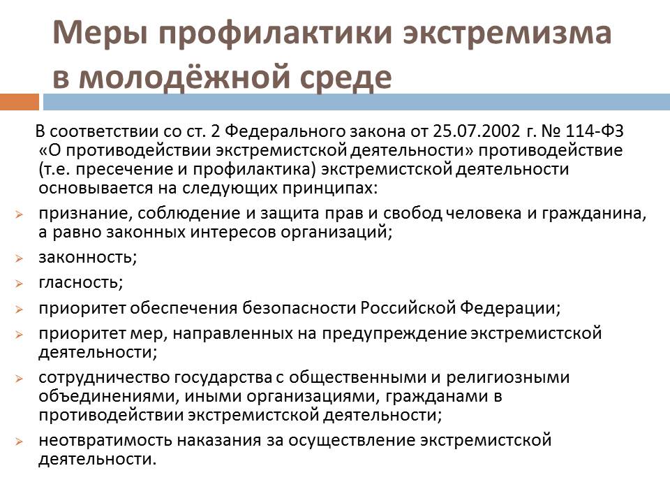 План по профилактике терроризма и экстремизма в молодежной среде